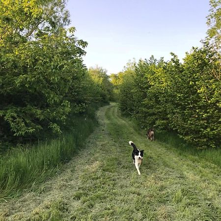 Shebbear1 Bed In Bideford Hihid别墅 外观 照片